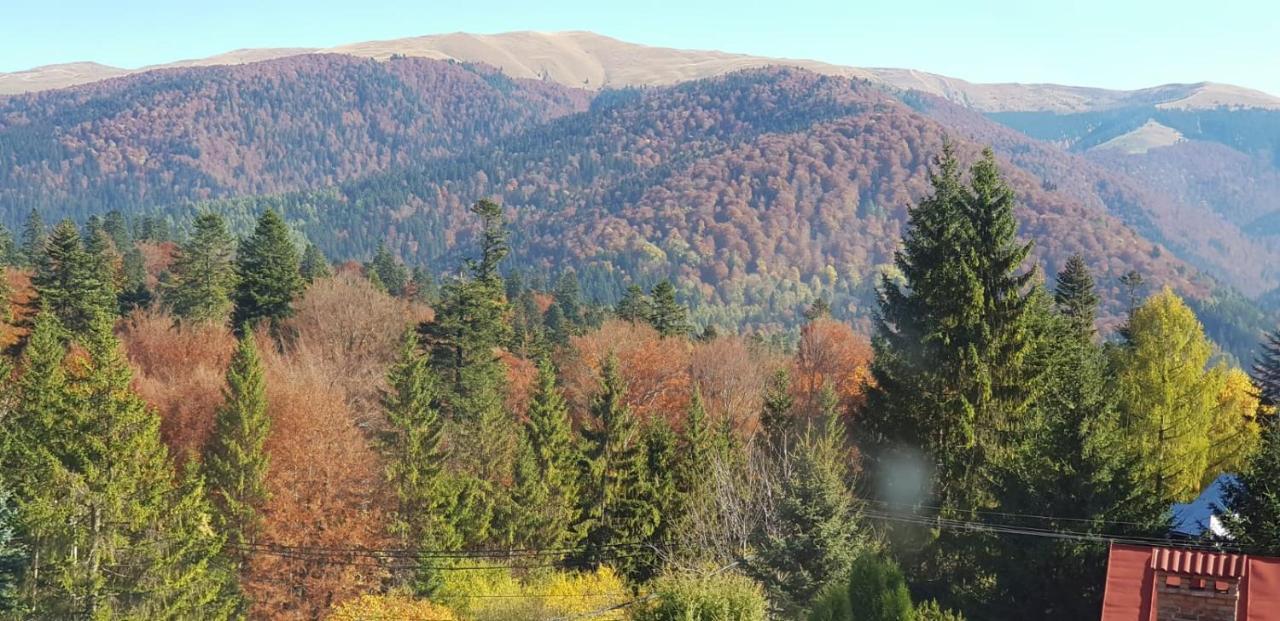 Apartamente Private A&L View Sinaia Dış mekan fotoğraf