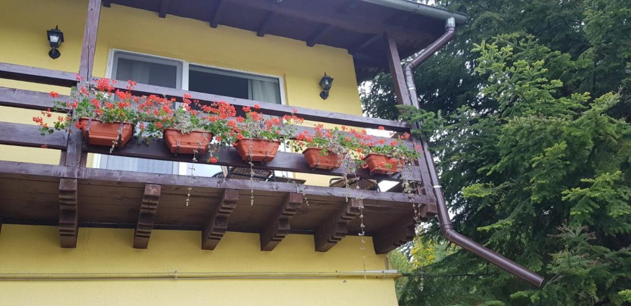 Apartamente Private A&L View Sinaia Dış mekan fotoğraf