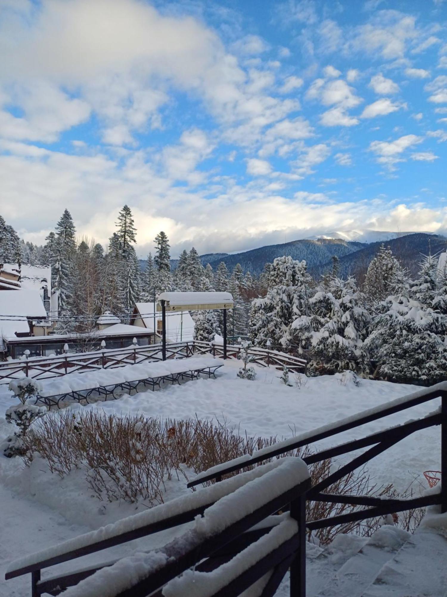 Apartamente Private A&L View Sinaia Dış mekan fotoğraf